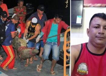 Família reconheceu partes do corpo após perícia técnica realizar trabalhos. Foto: Divulgação