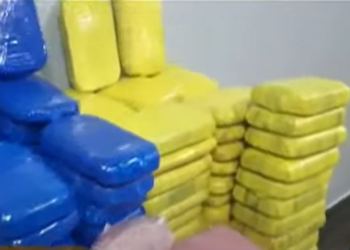 Cada tablete possuía 1 kg e droga foi encaminhada para a delegacia. Foto: Divulgação/PMAM