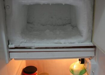 A bebê ficou morta e congelada em freezer por um ano e dona da geladeira achava que fosse uma carne. Foto: Reprodução/Internet
