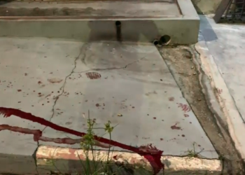 Testemunhas disseram à polícia que o vizinho fugiu após o crime. Foto: Divulgação