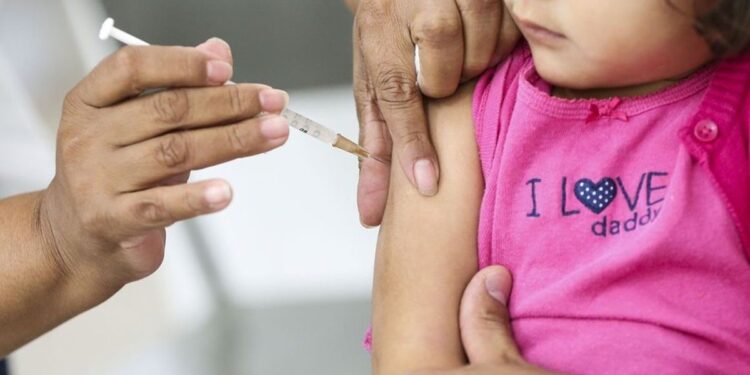 Prazo para manifestações vai até o dia 2 de janeiro. Foto: Reprodução