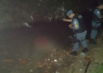 O corpo foi encontrado dentro de igarapé. Foto: Divulgação