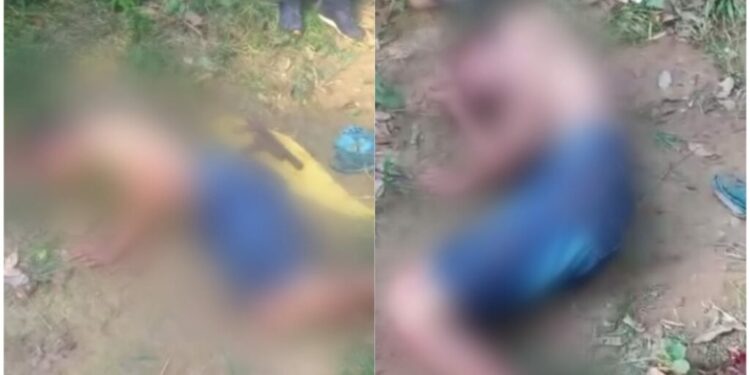 Vídeo circulou nas redes sociais nesta quarta-feira (05). Foto: Reprodução