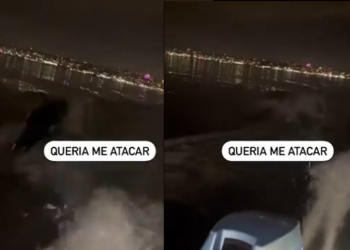 Vídeo começou a circular nas redes sociais nesta terça-feira (25). Foto: Reprodução/Internet