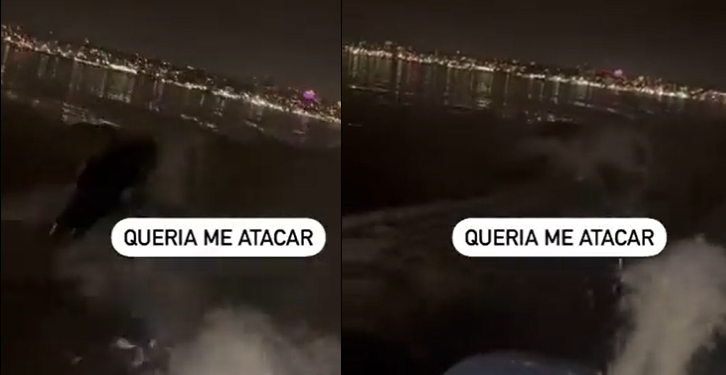 Vídeo começou a circular nas redes sociais nesta terça-feira (25). Foto: Reprodução/Internet