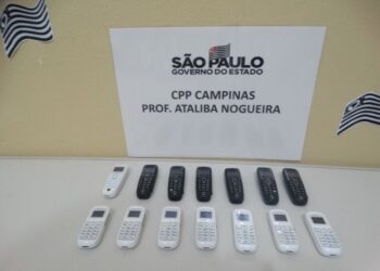 Parte dos microcelulares apreendidos com presos, em Campinas — Foto: SAP
