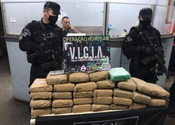 A droga foi encontrada após denúncia anônima para a SSP. Foto: Reprodução/G1