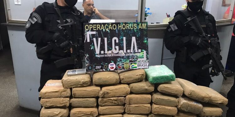 A droga foi encontrada após denúncia anônima para a SSP. Foto: Reprodução/G1