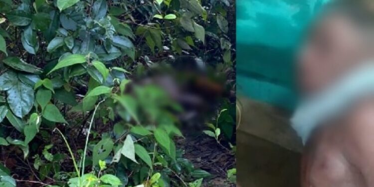 O corpo do homem foi encontrado pelo pai dele, que ficou abalado com o ocorrido. Foto: Divulgação