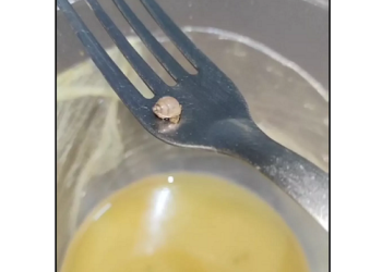 Empresária tomou um susto quando encontrou o caramujo dentro do tacacá. Foto: Reprodução