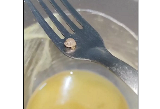 Empresária tomou um susto quando encontrou o caramujo dentro do tacacá. Foto: Reprodução