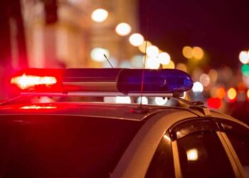 A mulher negou, mas depois assumiu o crime. Foto: Reprodução/Internet