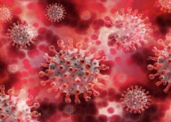 Cepa híbrida carrega incertezas, mas desperta as atenções das autoridades de saúde britânicas. Foto: Pixabay - Reprodução