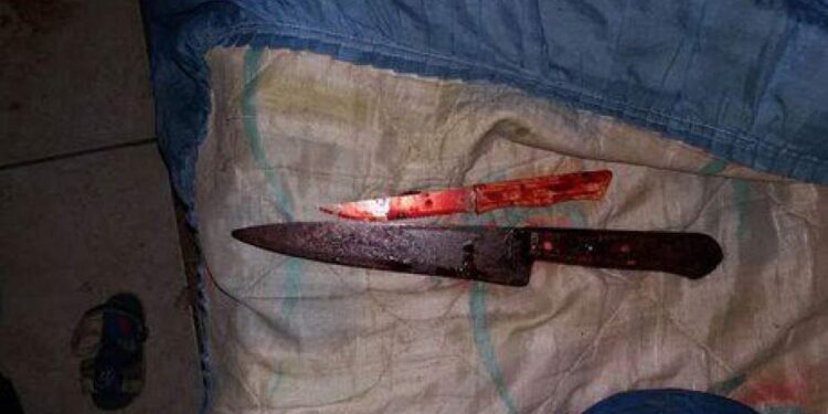 Mulher pegou faca e cometeu o crime. Foto: Reprodução/Internet