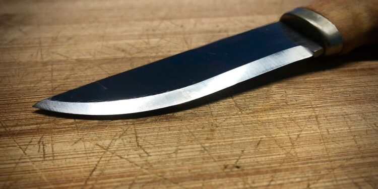 A mulher foi presa pelo crime de lesão corporal grave. Foto: Reprodução/Internet