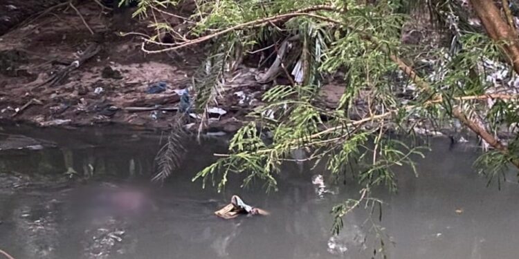 Corpo ainda não foi identificado pela polícia: Foto: Divulgação