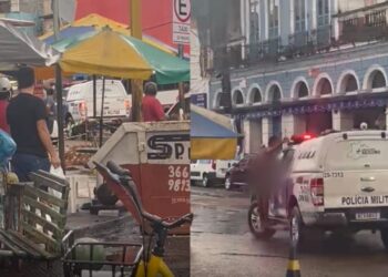 Pessoas que passavam pela avenida flagraram a situação. Foto: Reprodução