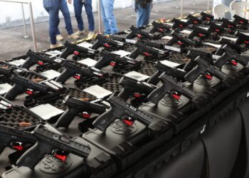 Conforme o projeto, armas destinam-se à proteção pessoal e familiar dos agentes de segurança. Foto: Herick Pereira/Secom