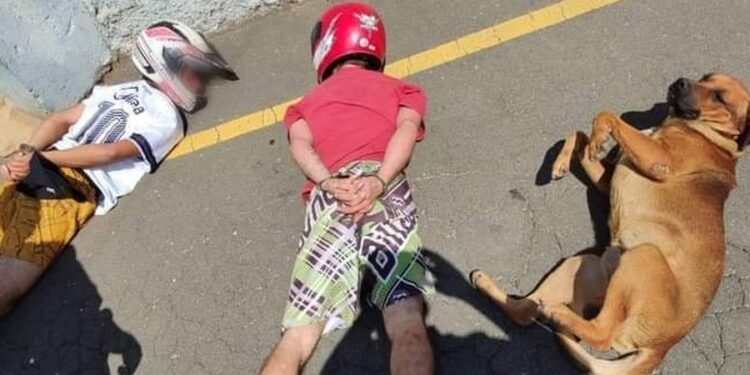 Situação chamou a atenção de policiais. Foto: Divulgação