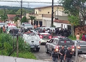 O crime aconteceu no final da tarde de domingo (13), numa clínica veterinária no Parque 10, Zona Centro-Sul. Foto: Divulgação