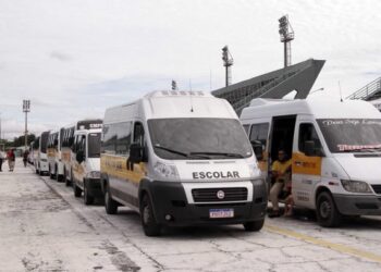 Mais de 16 mil pneus serão entregues. Foto: Altemar Alcântara / Semcom