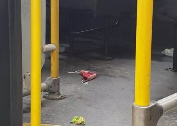 O crime aconteceu dentro de um ônibus. Foto: Divulgação