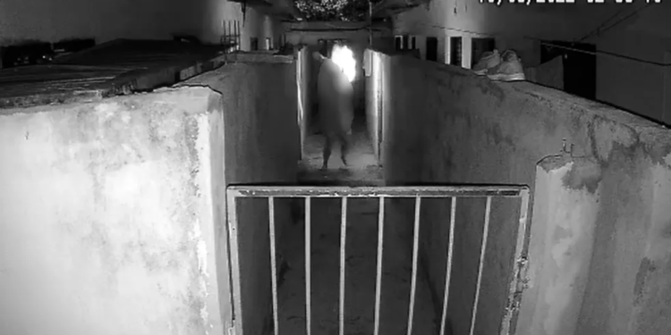 A mulher passou por uma cirurgia e continua internada em estado estável. Foto: Reprodução/TV Anhanguera