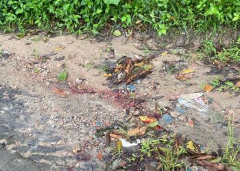 O corpo foi 'desovado' no Santa Etelvina, Zona Norte de Manaus.