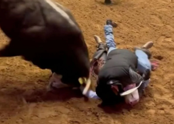 Momento chamou a atenção na internet. Foto: Reprodução/Internet