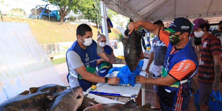 Aproximadamente  100 toneladas de peixes serão disponibilizadas. Foto: Arquivo/Secom