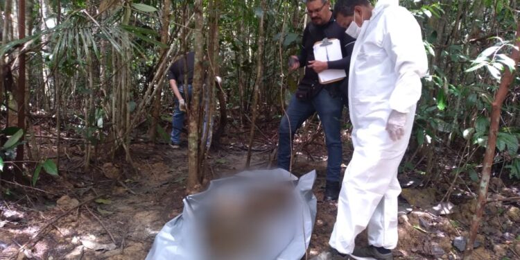 As ossadas estavam numa área de mata. Foto: Divulgação