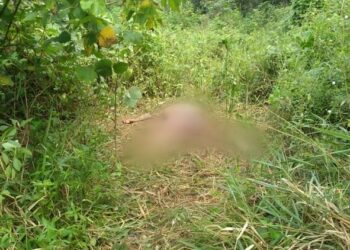 O corpo foi encontrado por um morador da área. Foto: Divulgação