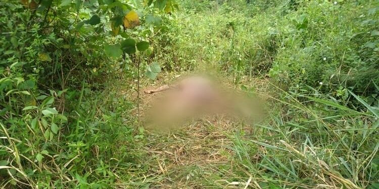 O corpo foi encontrado por um morador da área. Foto: Divulgação