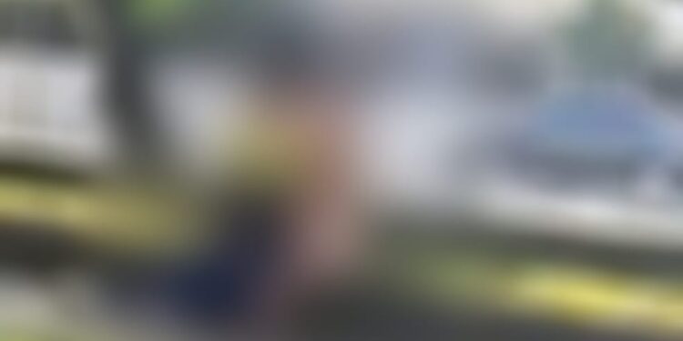 O caso aconteceu em uma das vias mais movimentadas de Santos. Foto: Reprodução