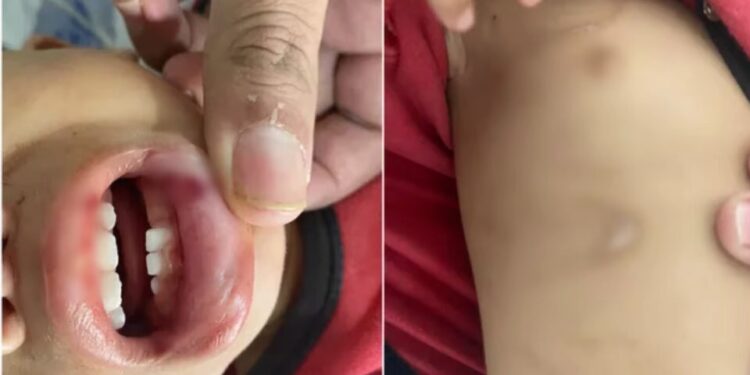 Mulher é investigada por maus-tratos (Foto: Divulgação)