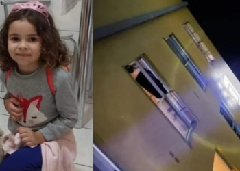 Luna teve vários ferimentos e não resistiu. Foto: Reprodução