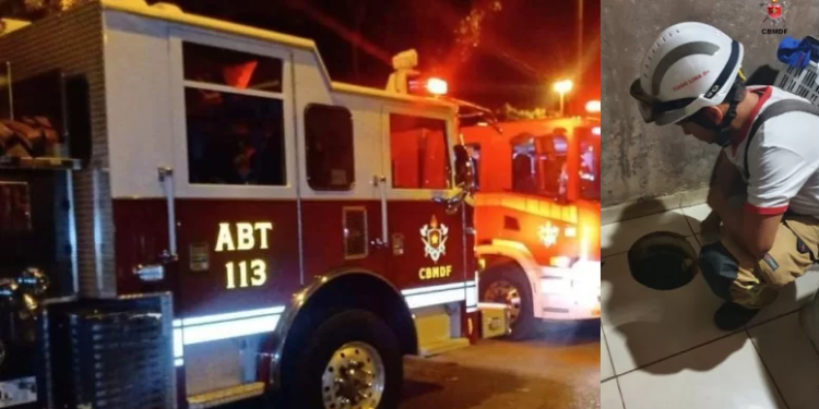 o acidente aconteceu na noite deste domingo (10), na área de serviço. Foto: Divulgação