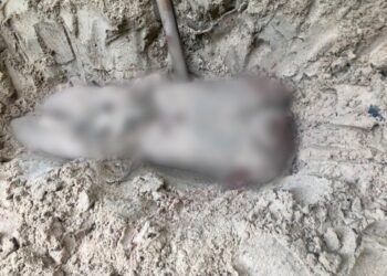 Apenas uma vítima foi identificada, mas polícia espera confirmação da perícia. Foto: Divulgação