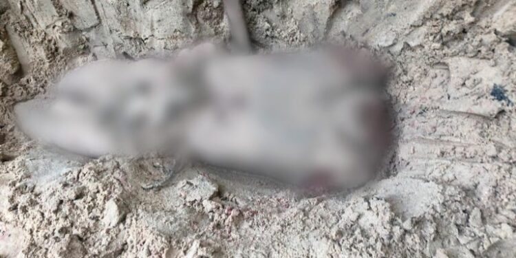 Apenas uma vítima foi identificada, mas polícia espera confirmação da perícia. Foto: Divulgação