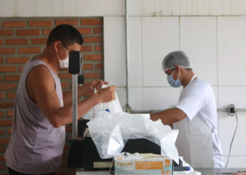 Feira do Pirarucu terá 5 toneladas de peixe à venda na sede da FAS nesta sexta e sábado. Foto: Divulgação/FAS