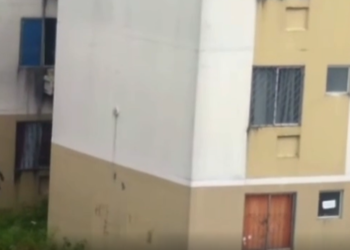 Os dois foram vistos entre dois blocos de apartamentos do Viver Melhor. Foto: Reprodução