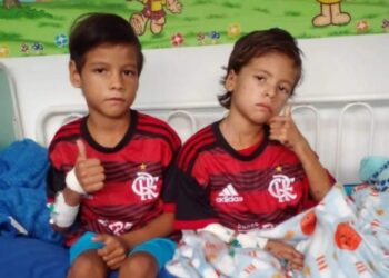 Os irmãos já estão com uma aparência melhor e ganharam peso. Foto: Divulgação