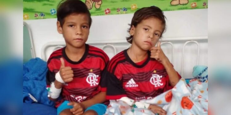 Os irmãos já estão com uma aparência melhor e ganharam peso. Foto: Divulgação