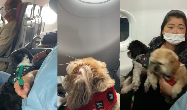 A passageira entrou em contato com um advogado especialista e conseguiu assegurar o direito dela. Foto: Divulgação