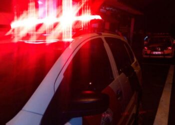 O caso chamou atenção da polícia no Paraná. Foto: Reprodução/Internet