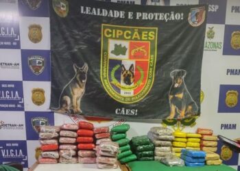 A droga foi encontrada em blocos feitos com latas de alumínio prensadas. Foto: Divulgação/SSP-AM