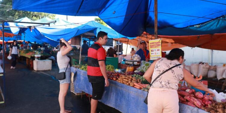 Os convênios para a reforma das feiras de Manaus foram firmados via Unidade Gestora de Projetos Especiais (UGPE). Foto: Bruno Zanardo - Secom