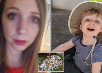 Mãe mata filho de 2 anos afogado (Foto: Divulgação)