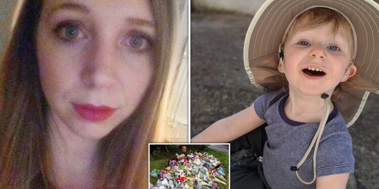 Mãe mata filho de 2 anos afogado (Foto: Divulgação)