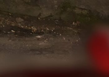 O crime ocorreu por volta das 2h desta quarta-feira (4). Foto: Divulgação